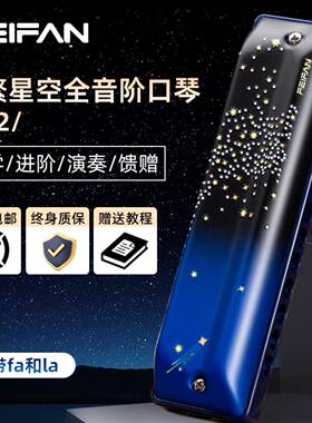 FEIFAN飞繁12孔布鲁斯口琴F12全音阶演奏初学者入门航空铝盖板
