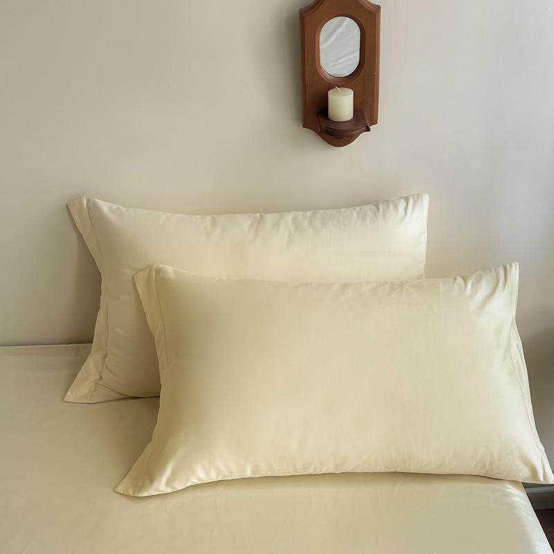 加厚100S磨毛枕套一对装全棉纯棉绒枕头套纯色整套枕头袋秋冬