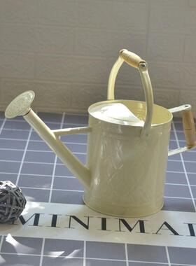 两用洒水壶浇花家铁VRF种用菜花大号浇花壶大容量养园艺喷壶