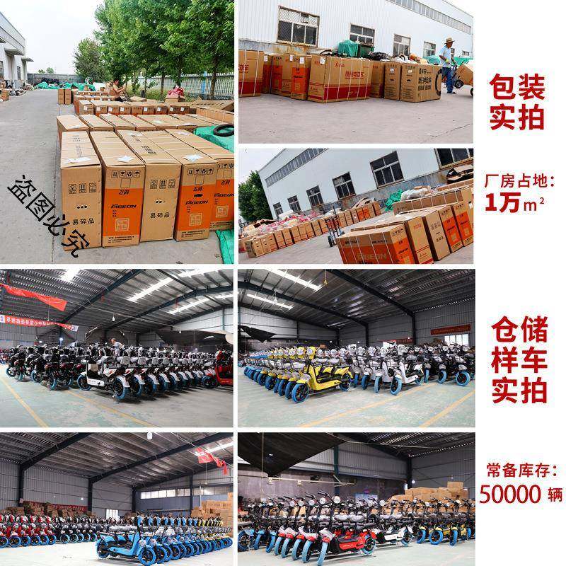 XHY通用销直礼品新国标电动自行车男女线门下店同款锂电瓶车工电