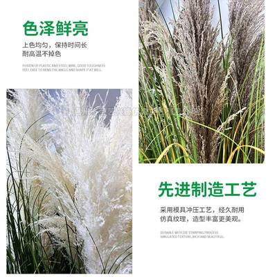 跨仿真植PZ-真芦物假绿植造景人造洋葱草潘仿真盆栽真芦苇境头帕
