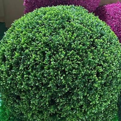 外草绿植井盖遮挡装饰品空心仿真大户黄杨梅草草塑料球6172球米兰