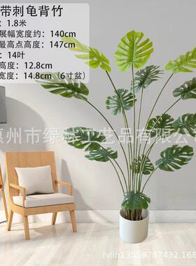 仿真绿龟植假盆栽背竹室ll66522内窗装饰橱龟背叶橄榄树