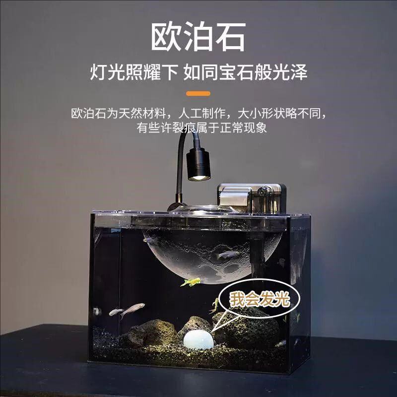 暗黑系创意造景鱼缸全套造景小型桌面超白玻璃客厅家用自循环射灯