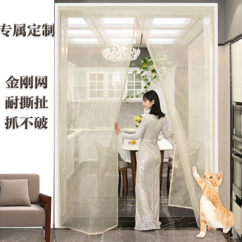 夏季家用加密纱门帘防蚊防蝇通风高档磁性卧室客厅大门定做免打孔
