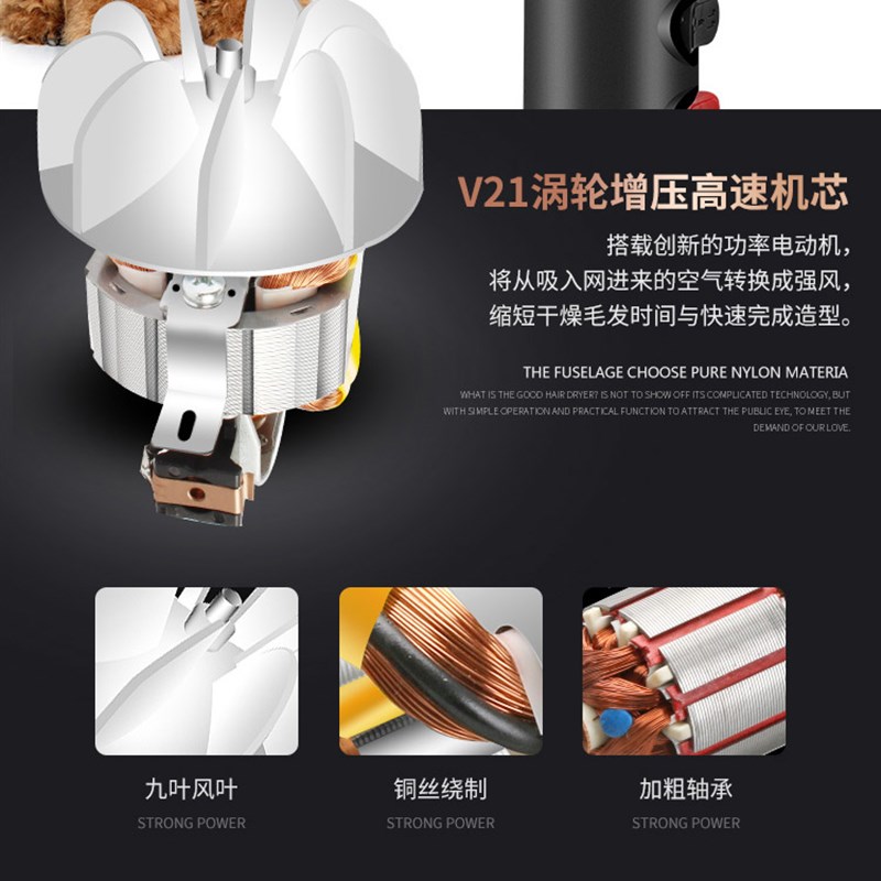 哥丝艺狗狗吹风机宠物猫专用大功率电吹风筒家用洗澡吹毛吹干吹水