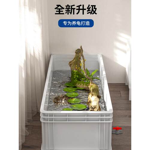 乌龟发色盒养龟繁殖箱微景观生态箱塑料鱼缸龟缸乌龟饲养盒生态瓶