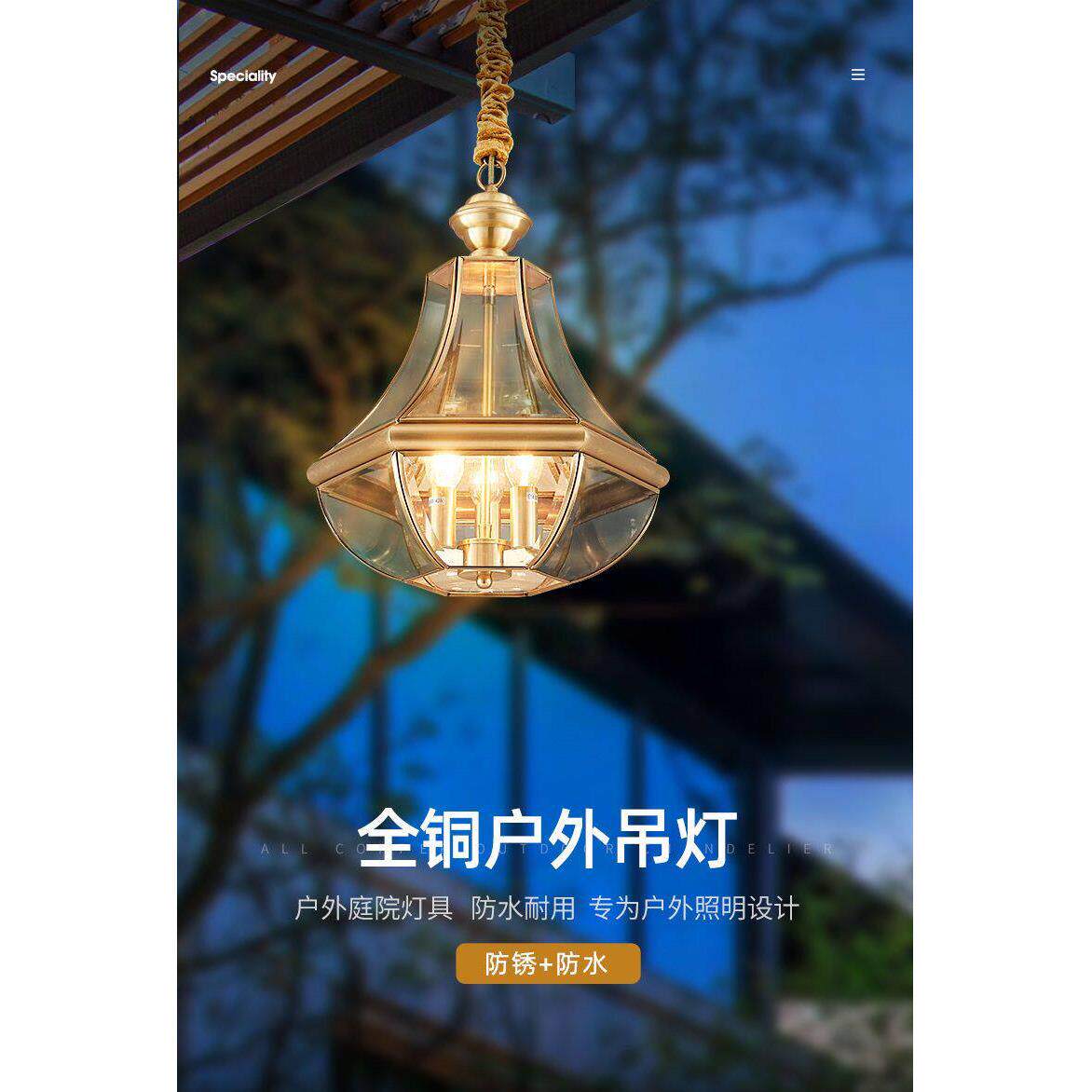 全铜户外吊灯防水别墅门厅灯入户门灯凉亭走廊温室灯超亮吸顶灯