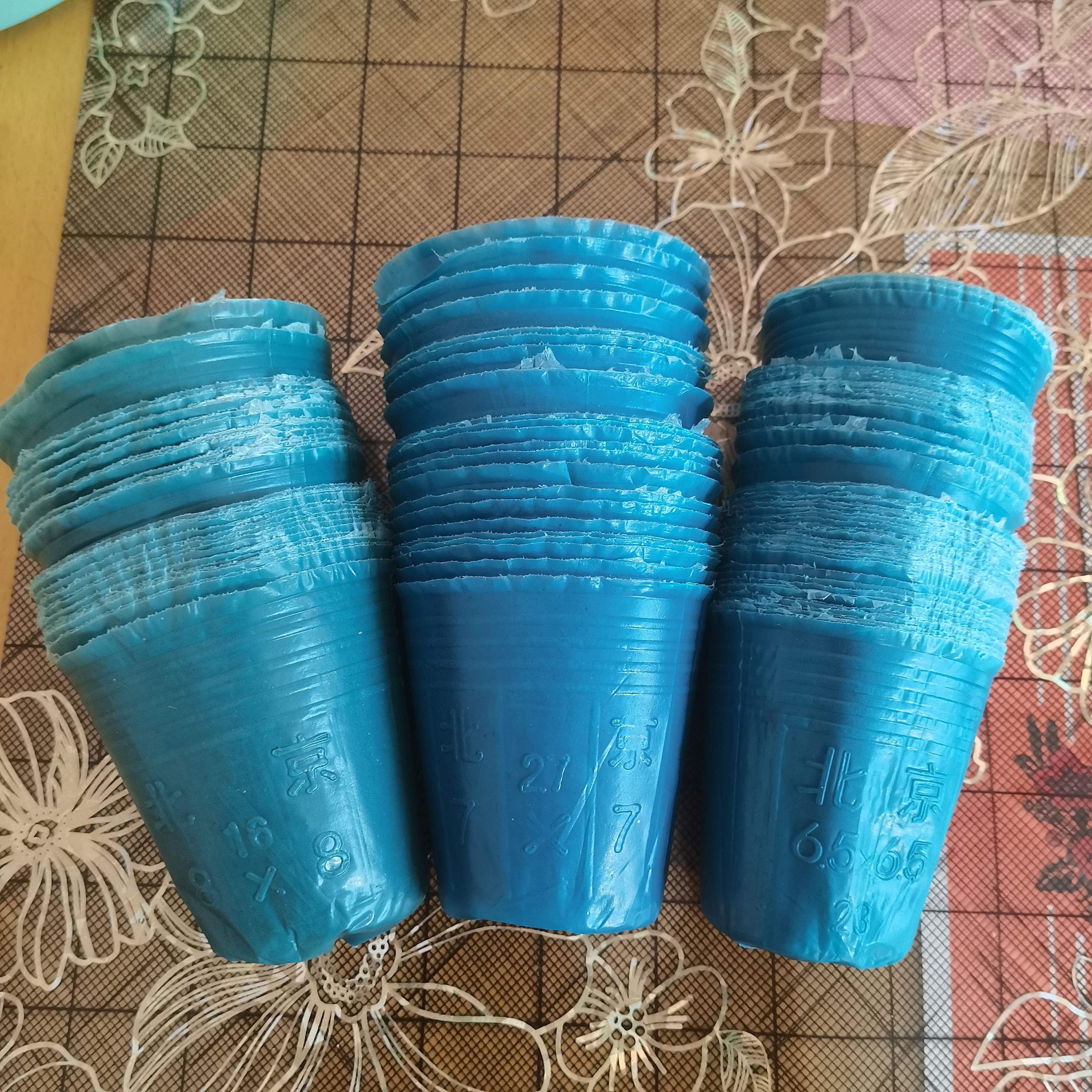 蓝色育苗杯蓝色营养钵育苗袋一次性苗杯塑料营养袋易撕种植杯