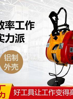 葫小金刚便电动葫芦微型携悬小吊机家用小型提升机挂电芦升EER降