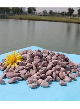 白色仿真专用装饰石子鸡血红卵石红色石头建筑彩色石板五彩石