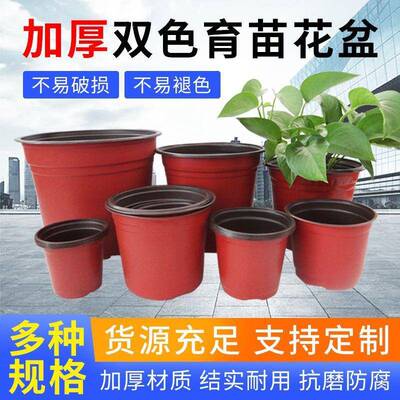 厂家直供双色盆一次性种盆莓盆钵简植花盆塑料易双色育苗盆整草包