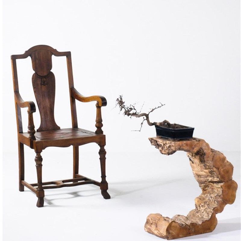 实木墩子树墩原木茶几花架底座天然树桩根雕木瘤摆设计茶馆民宿