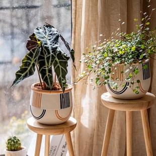 超大水泥花盆大小号个性种植多肉花器土培绿植园艺阳台法式艺装饰