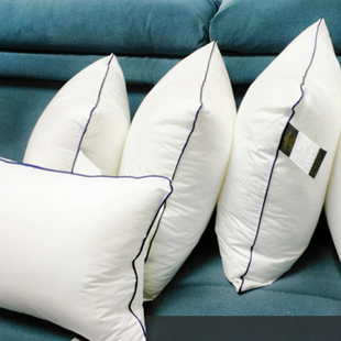 高档靠垫芯枕芯十字绣芯子正方形45*45/60 65cm床头靠背沙发抱枕