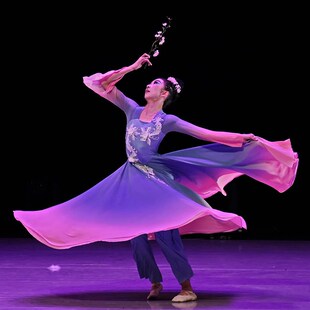女童艺考独舞古典剧目折枝盼儿童舞蹈表演出服装 中国舞飘逸大摆裙