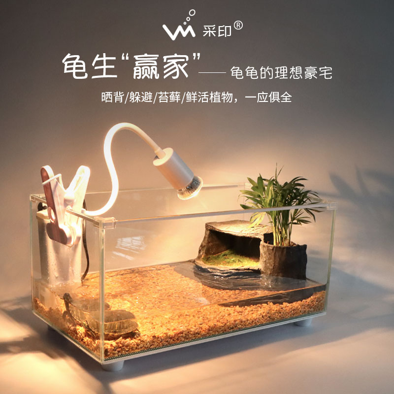 玻璃乌龟缸家用客厅小别墅饲养箱小型养乌龟专用缸生态鱼缸屋造景
