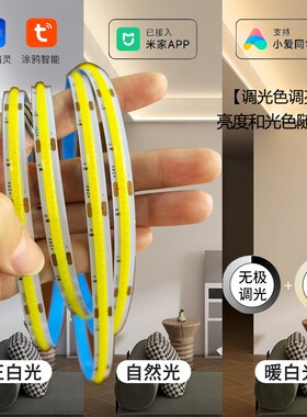 灯带涂鸦智能RGBCW七彩无极调光客厅涂鸦线型灯电竞房氛围COB灯带