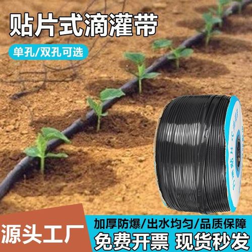 滴灌带滴管农用大棚蔬菜16mm贴片式无孔水带辣椒滴水微喷带