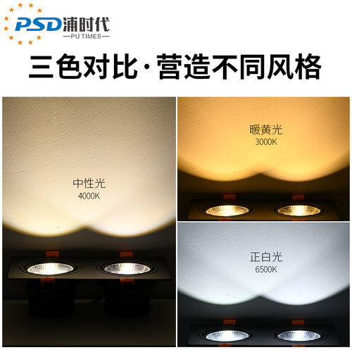 led双头射灯双孔20*10嵌入式格栅天花灯8*16方形黑色斗胆灯展厅灯