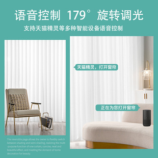 手电动梦幻帘客厅阳台纱帘透光人落地窗不垂直窗帘遮光透百叶帘竖