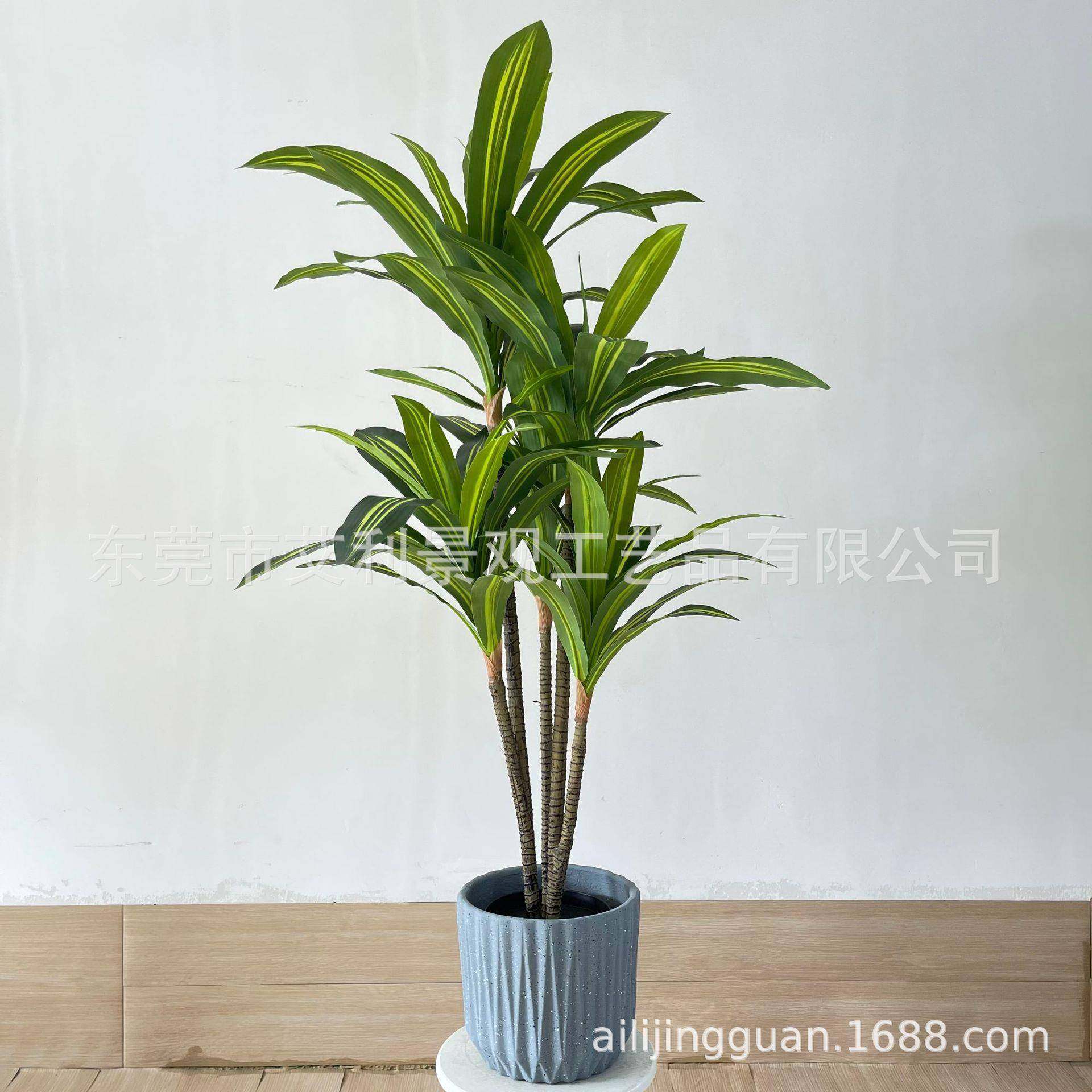 大型落地家绿树植巴西木盆栽居室内AL-BXT-1植装饰摆件巴西铁物,鲜花速递/花卉仿真/绿植园艺,仿真绿植,淘宝优惠券,粉丝福利购,淘宝优惠卷