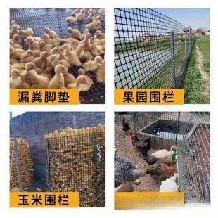 塑料围鸭网户养殖护拦鸡胶防网家用菜园玉米护栏栅栏外养鸡177围