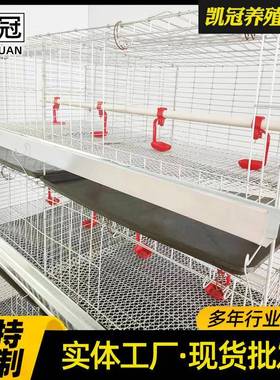厂专家供育雏鸡多层小鸡FXE笼子蛋鸡育雏笼畜牧笼养殖用饲养应设