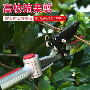 摆头高枝摘果BTZ剪多功带锯片采果剪园林工能具缩高空修枝式剪伸