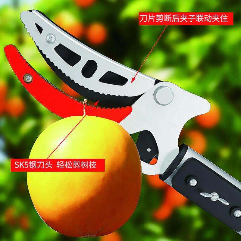 新款摘水果神器摘枇杷杨