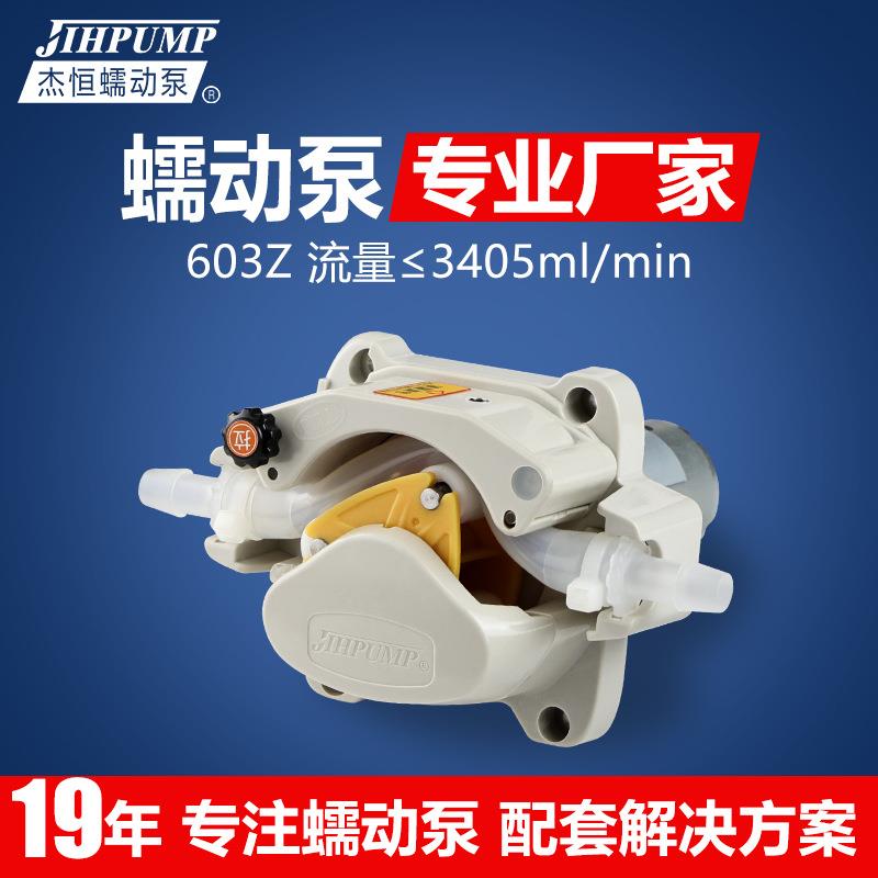 杰恒603Z微型蠕动泵 小微型蠕动泵计量泵 微型直流定量蠕动泵厂家