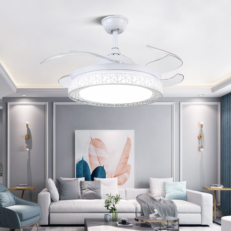 代森吊扇灯52寸鸟巢隐形扇客厅简约黑白色卧室吊灯智能餐厅风扇灯