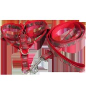 狗狗牵引绳泰迪狗链子小型中型大型犬遛狗绳子猫咪胸背带宠物用品