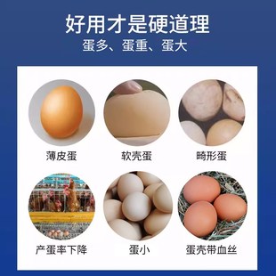 蛋多多增蛋宝兽用芦丁鸡用鸭鹅鸽子产蛋灵下蛋多预混料饲料添加剂