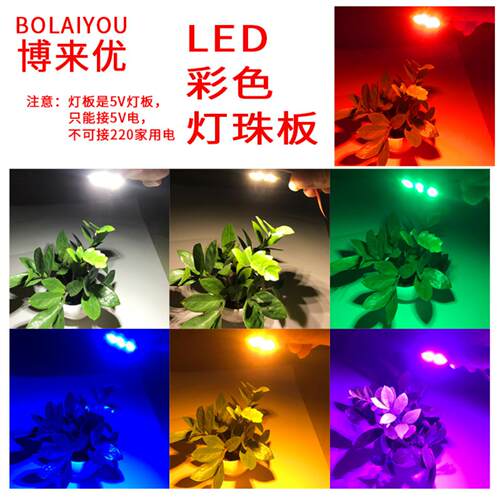 led彩色灯珠光源3V-5V蓝光红光绿光紫光房间生日过节聚会氛围灯光