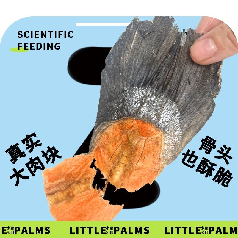 冻干三文鱼尾狗零食鱼骨鱼松鱼块猫通用改善毛发宠物鱼油软骨磨牙,宠物/宠物食品及用品,狗冻干零食,淘宝优惠券,粉丝福利购,淘宝优惠卷