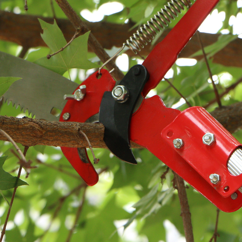 高枝剪高空锯树枝带加长伸缩杆摘槐米香椿槐花柿子果树修剪刀工具