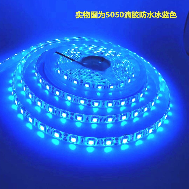 货车汽车展柜亚克力12V5050冰蓝色灯条24V冰蓝防水灯带招牌海洋馆