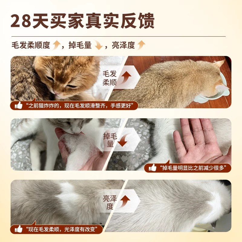 伯纳天纯全价全阶段低温烘焙猫粮鲜肉美毛猫咪三文鱼鸡肉兔肉主粮