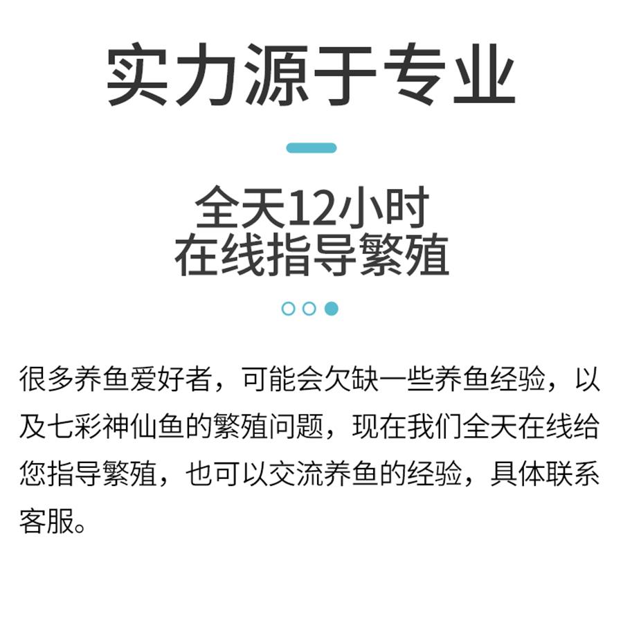 七彩神仙鱼繁殖桶产卵罐燕鱼孵化器神仙鱼产卵桶陶罐紫砂隔离网罩