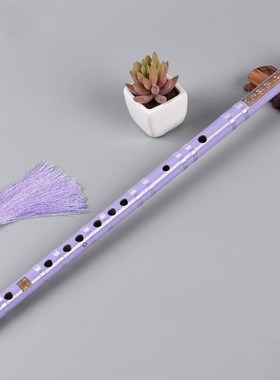 长笛乐器初学者笛子初学成w人零基础横笛黑色学生苦竹笛白紫色儿