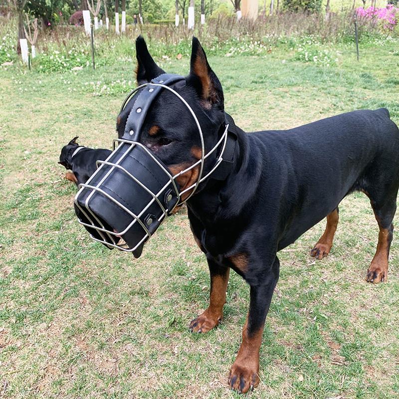 猛犬杜宾狼青东德犬狗嘴套防扒套防口笼防狗金毛大型犬防咬口笼罩