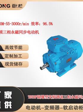 TBYBP250M-55-3000r/min 效率：96.5% 防爆变频永磁同步电动机