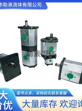 西班牙roquet双联齿轮泵1LP10-1.25DE10R液压系统油泵