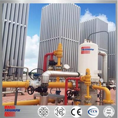 ASME/GB/NB/循环水及蒸汽加热式气化器/空温式水浴式气化器