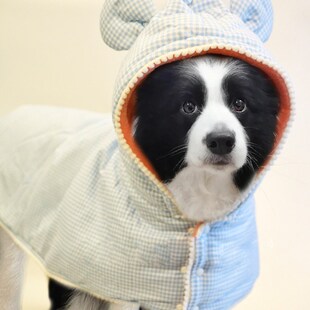 大型犬狗狗专用披风睡袍睡衣斗篷秋冬天睡觉小被子毛毯边牧幼犬