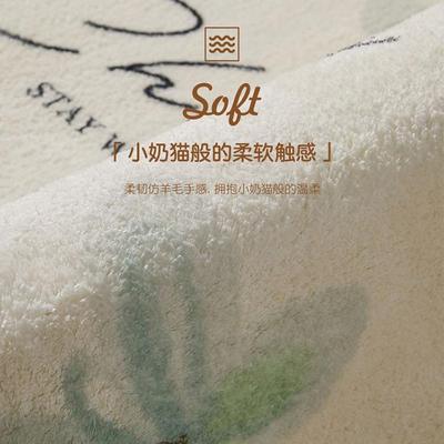 家用卧室地毯客厅沙发茶几地床边仿羊绒厚地加毯FYR20220毛绒毯防