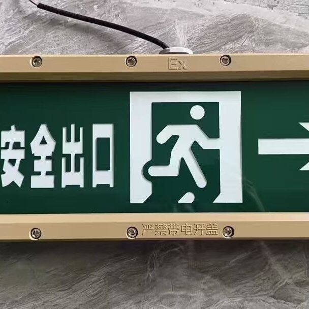 井伦防爆应急标志灯 36V集中电源 新国标A型消防疏散指示灯IP67