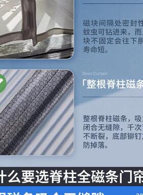 *20磁25款F9799HHS金新刚门纱防蚊帘子磁吸条性纱门纱窗帘自粘门