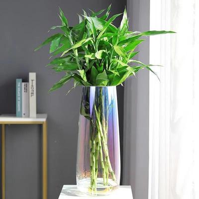 透明口玻号璃花瓶大插花富贵FJX竹长直筒大花径花器水养马醉木玻